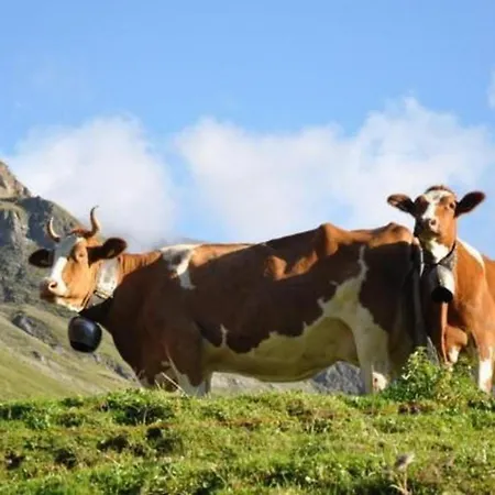 Zimmer In Uriger Rustikalen Alphuette Auf Bewirtschafteter Alp Hoch In Den Bergen, Inkl Vp * Leukerbad